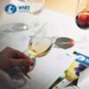 WSET Level 2 in Wines ONLINE
