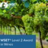WSET Level 2 in Wines