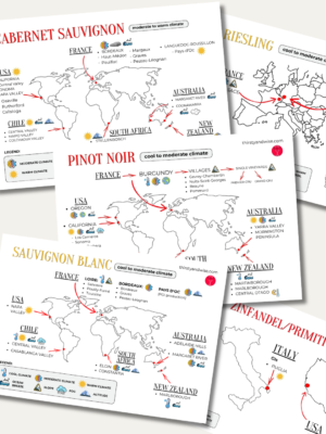 Level 2 — Climate & Wine Style Cards