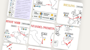 Level 2 — Climate & Wine Style (Infographic Cards)