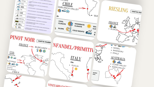 Level 2 — Climate & Wine Style (Infographic Cards)