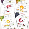 Level 2 Grape Variety Cards