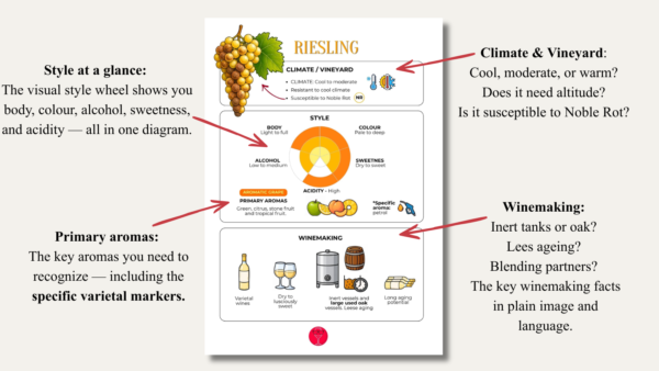 Level 2 Grape Variety Cards