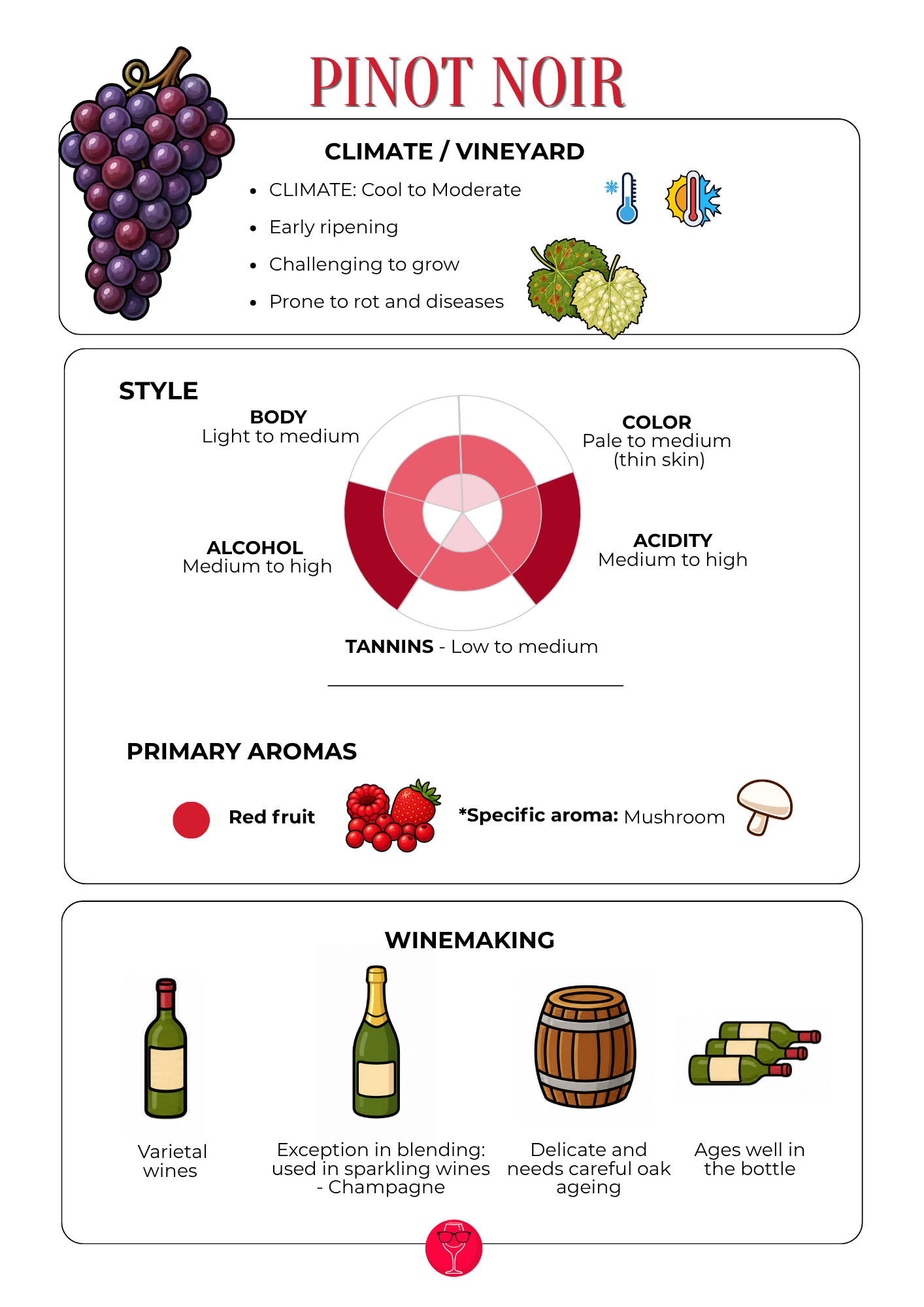 Pinot Noir Grape Variety Card