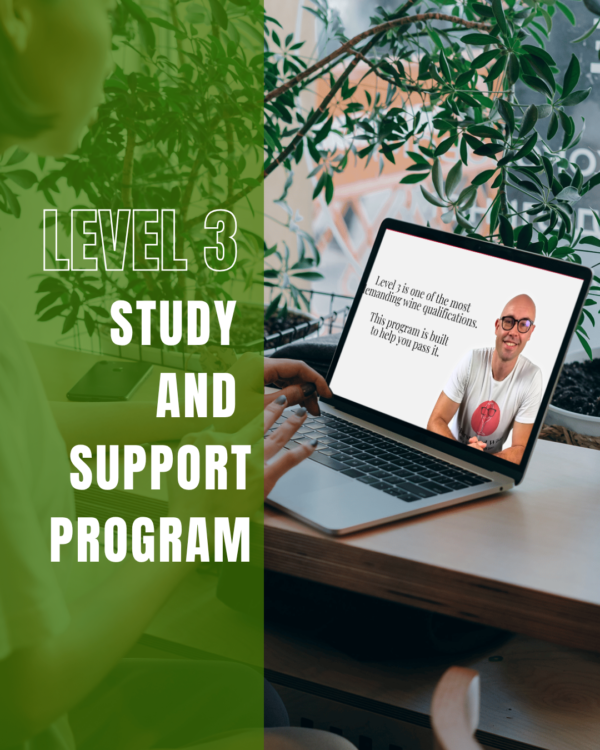 Study and Support Level 3 L3 Study and Support Program