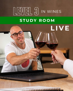 L2 Study and Understand - Thirsty and Wise Level 3 Study and Support - Live Study Room